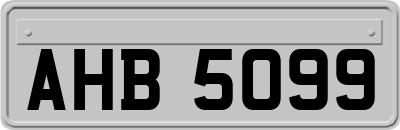 AHB5099