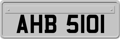 AHB5101