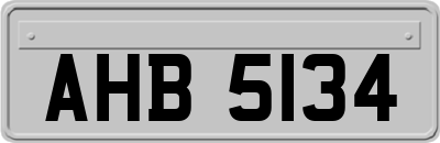 AHB5134
