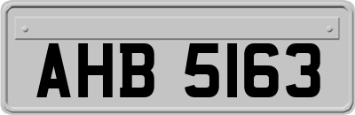AHB5163