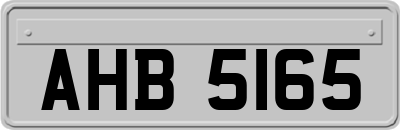 AHB5165