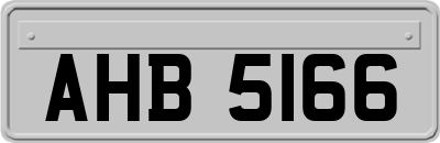 AHB5166