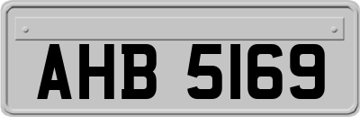 AHB5169