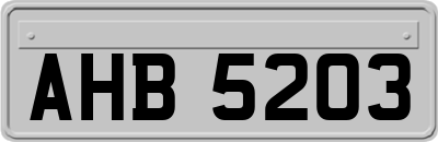 AHB5203