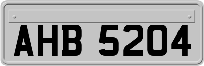 AHB5204