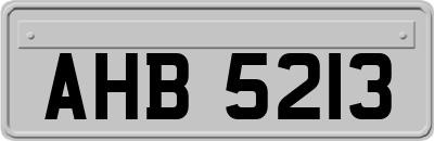 AHB5213