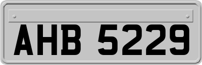 AHB5229