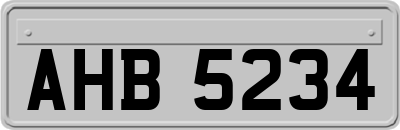 AHB5234