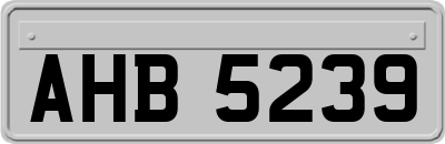 AHB5239