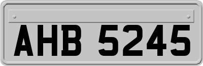 AHB5245