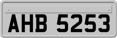 AHB5253