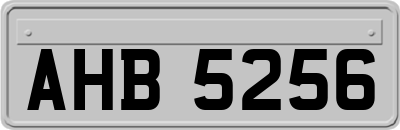 AHB5256