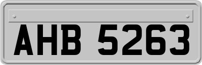AHB5263