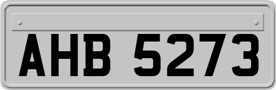 AHB5273