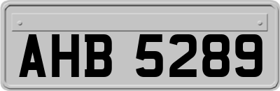 AHB5289