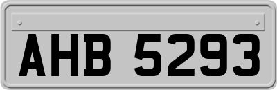 AHB5293