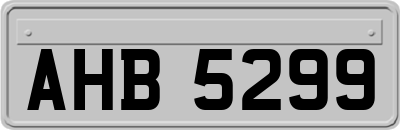 AHB5299