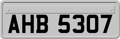 AHB5307