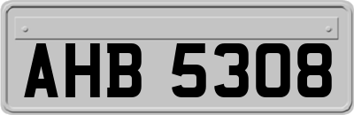 AHB5308