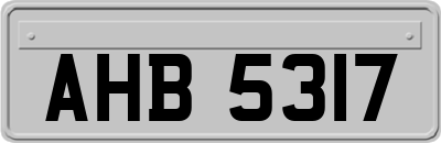 AHB5317
