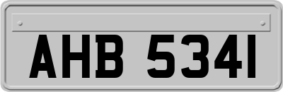 AHB5341