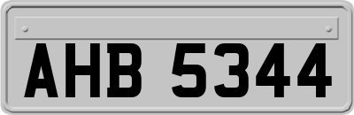 AHB5344