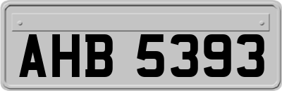AHB5393