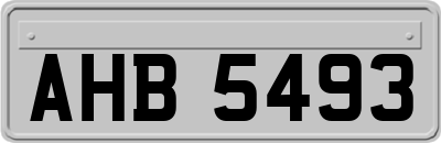 AHB5493
