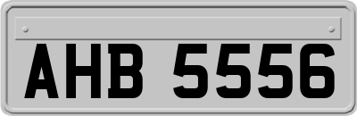 AHB5556