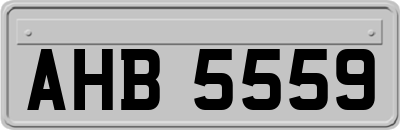 AHB5559