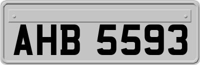 AHB5593