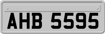 AHB5595