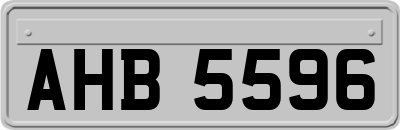 AHB5596