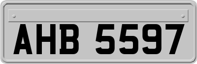 AHB5597