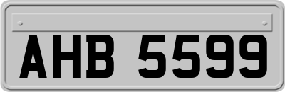 AHB5599