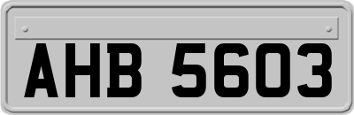 AHB5603