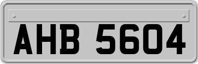 AHB5604