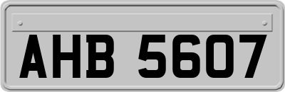 AHB5607