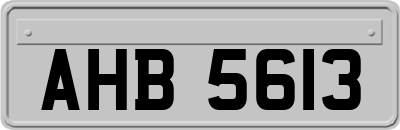 AHB5613