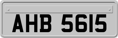 AHB5615