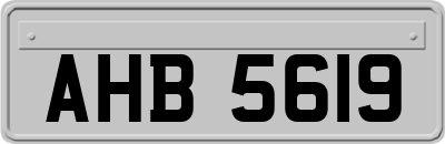 AHB5619