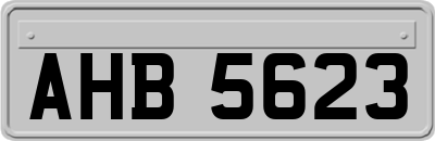 AHB5623