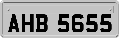 AHB5655