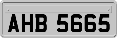 AHB5665
