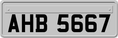 AHB5667