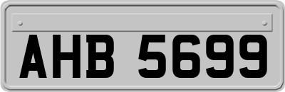 AHB5699