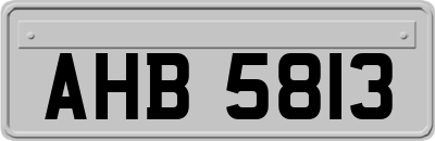 AHB5813
