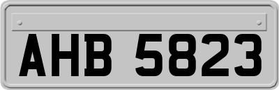 AHB5823