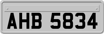 AHB5834