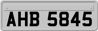 AHB5845